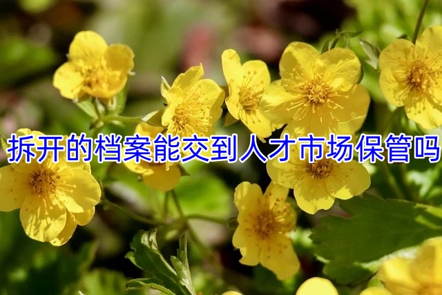拆开的档案能交到人才市场保管吗