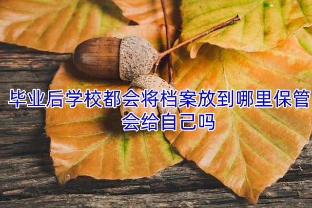 毕业后学校都会将档案放到哪里保管，会给自己吗