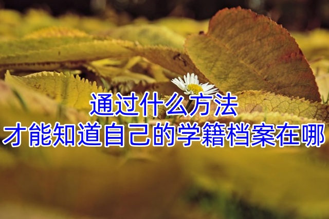 通过什么方法才能知道自己的学籍档案在哪