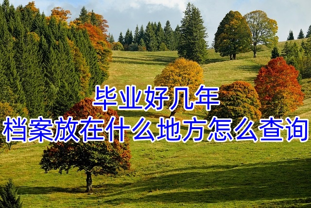 毕业好几年档案放在什么地方怎么查询