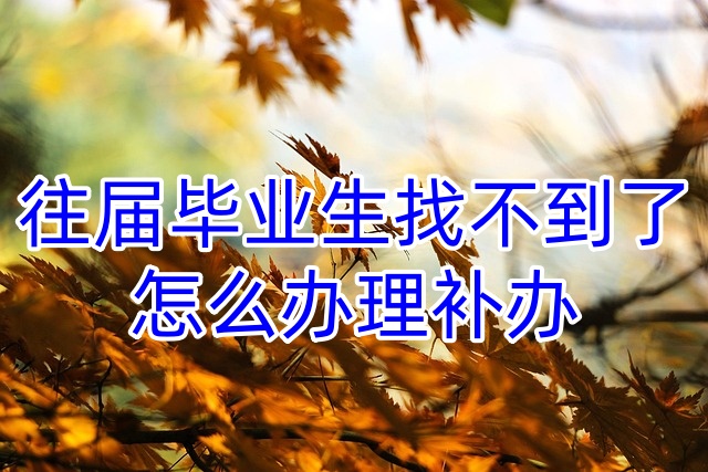 往届毕业生找不到了怎么办理补办