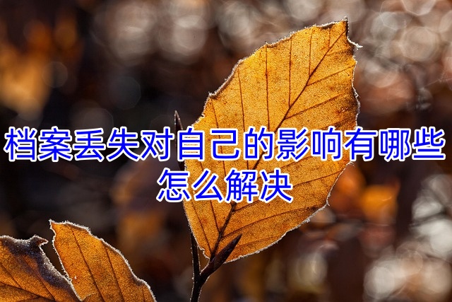 档案丢失对自己的影响有哪些，怎么解决