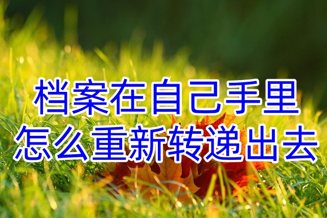 档案在自己手里怎么重新转递出去
