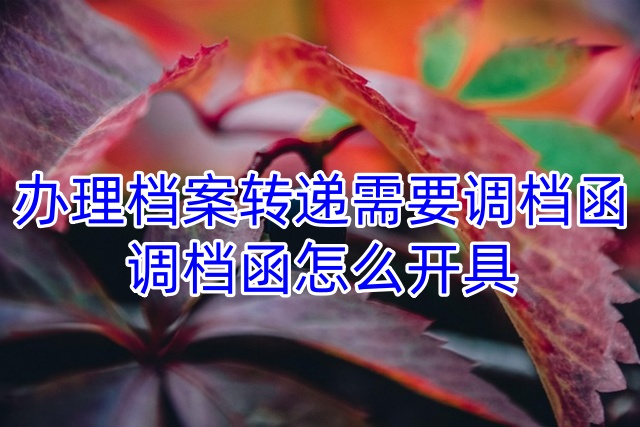 办理档案转递需要调档函，调档函怎么开具