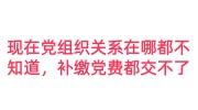 现在党组织关系在哪都不知道，补缴党费都交不了