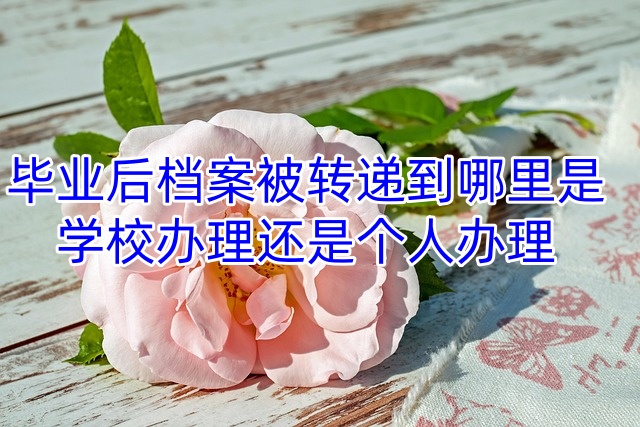 毕业后档案被转递到哪里是学校办理还是个人办理