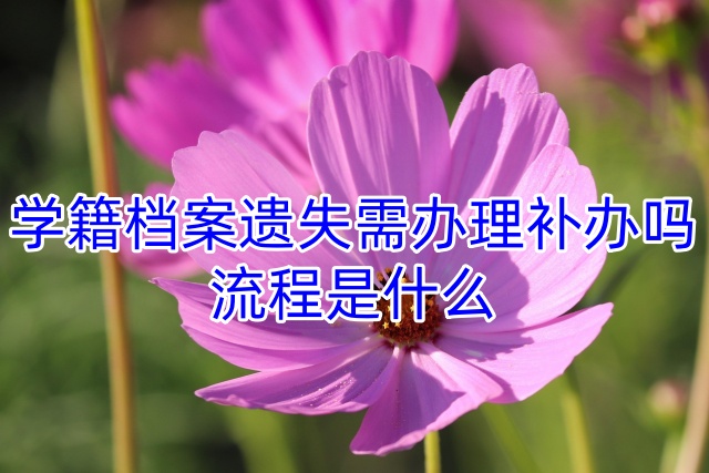 学籍档案遗失需办理补办吗，流程是什么