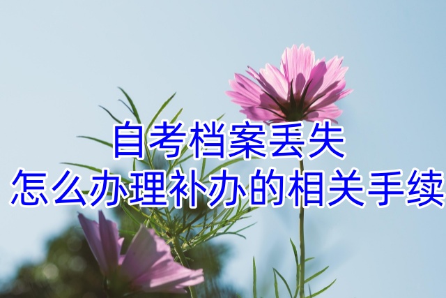 自考档案丢失怎么办理补办的相关手续