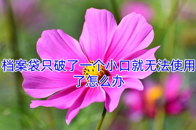 档案袋只破了一个小口就无法使用了怎么办
