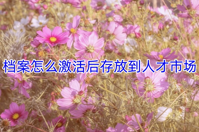 档案怎么激活后存放到人才市场