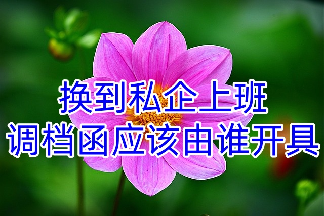 换到私企上班调档函应该由谁开具