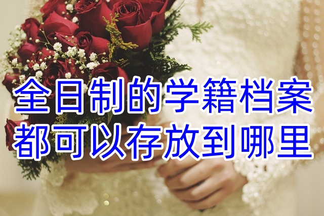 全日制的学籍档案都可以存放到哪里