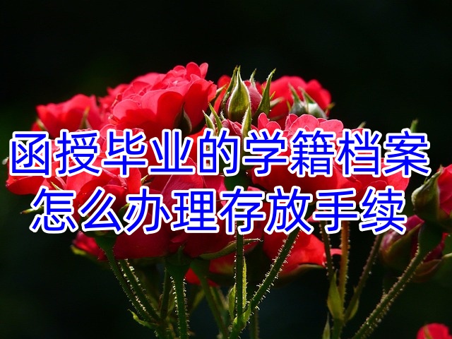 函授毕业的学籍档案怎么办理存放手续