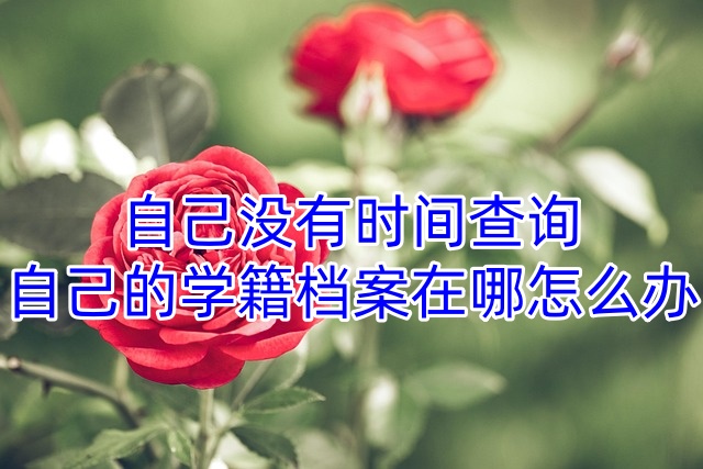 自己没有时间查询自己的学籍档案在哪怎么办