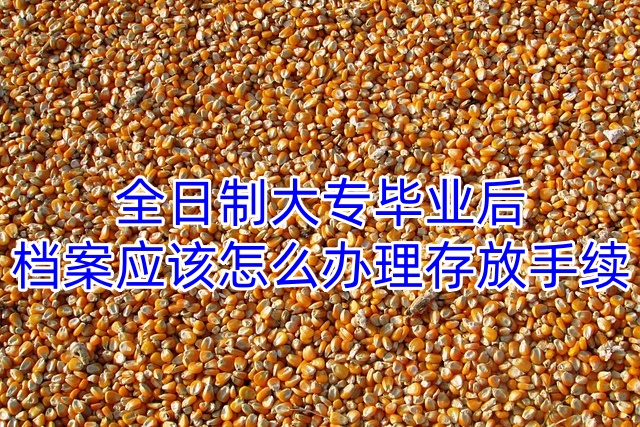 全日制大专毕业后档案应该怎么办理存放手续