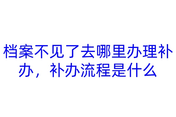 档案不见了去哪里办理补办，补办流程是什么