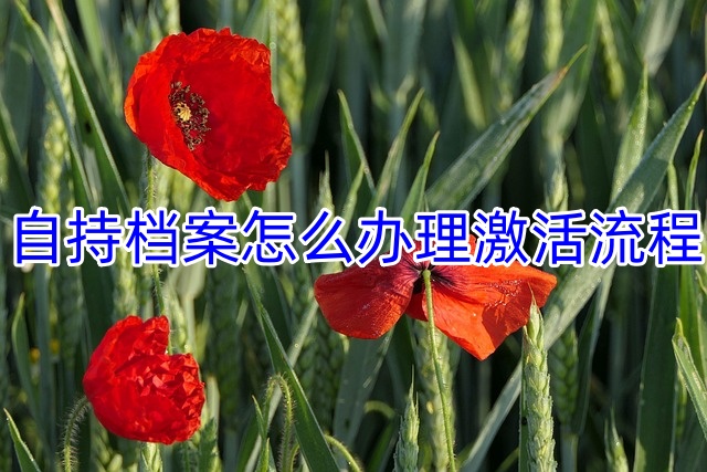 自持档案怎么办理激活流程
