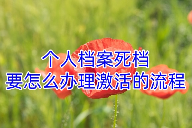 个人档案死档要怎么办理激活的流程