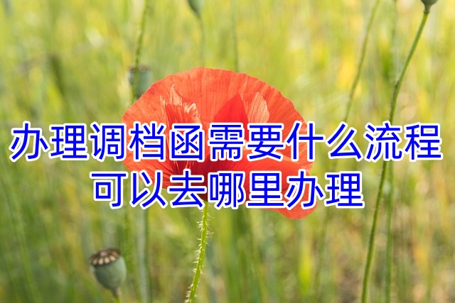 办理调档函需要什么流程，可以去哪里办理
