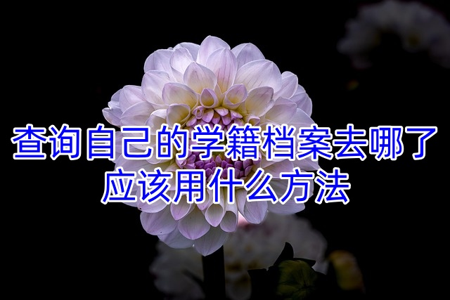 查询自己的学籍档案去哪了应该用什么方法