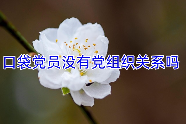 口袋党员没有党组织关系吗