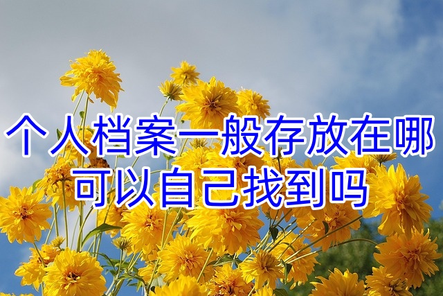 个人档案一般存放在哪，可以自己找到吗