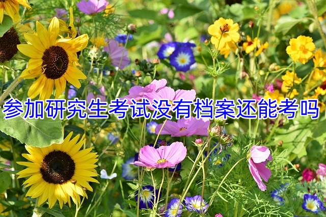 参加研究生考试没有档案还能考吗