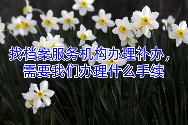 找档案服务机构办理补办，需要我们办理什么手续