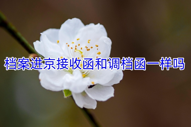 档案进京接收函、调档函一样吗