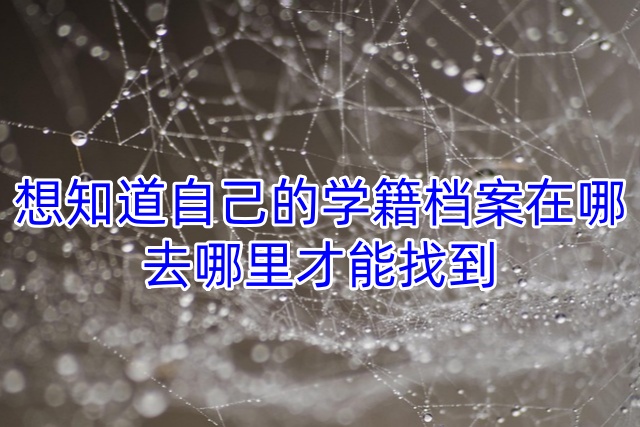 想知道自己的学籍档案在哪,去哪里才能找到