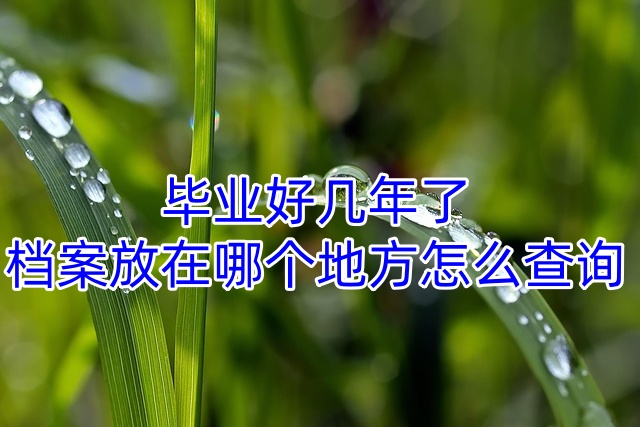 毕业好几年了，档案放在哪个地方怎么查询