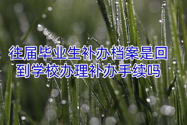 往届毕业生补办档案是回到学校办理补办手续吗