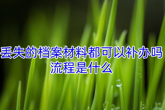 丢失的档案材料都可以补办吗，流程是什么