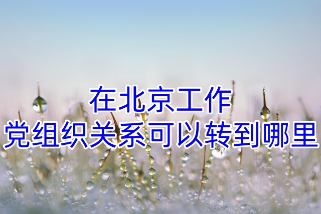 在北京工作,党组织关系可以转到哪里