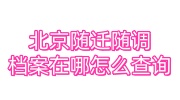 北京随迁随调档案在哪怎么查询