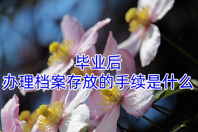 毕业后办理档案存放的手续是什么