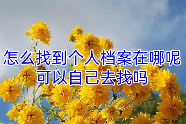 怎么找到个人档案在哪呢，可以自己去找吗