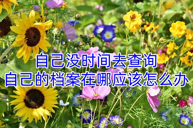 自己没时间去查询自己的档案在哪应该怎么办