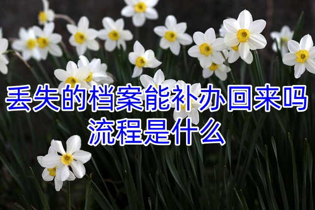 丢失的档案能补办回来吗，流程是什么
