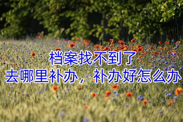 档案找不到了，去哪里补办，补办好怎么办
