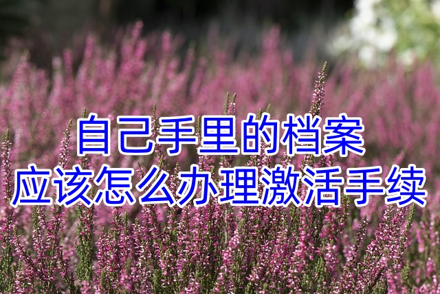 自己手里的档案应该怎么办理激活手续