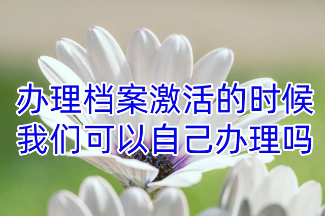办理档案激活的时候，我们可以自己办理吗