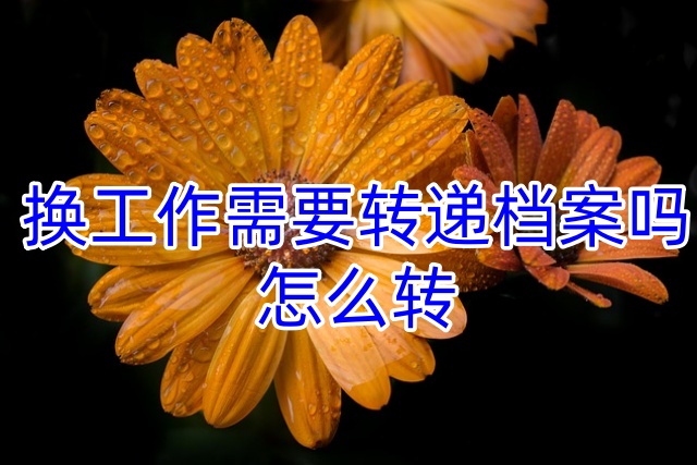 换工作需要转递档案吗，怎么转
