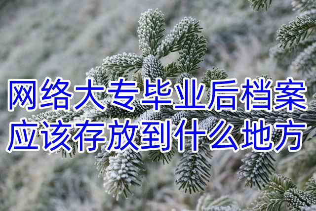 网络大专毕业后档案应该存放到什么地方