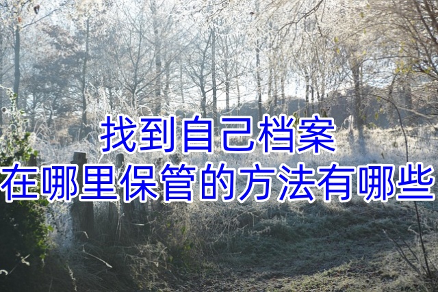找到自己档案在哪里保管的方法有哪些