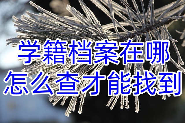学籍档案在哪，怎么查才能找到