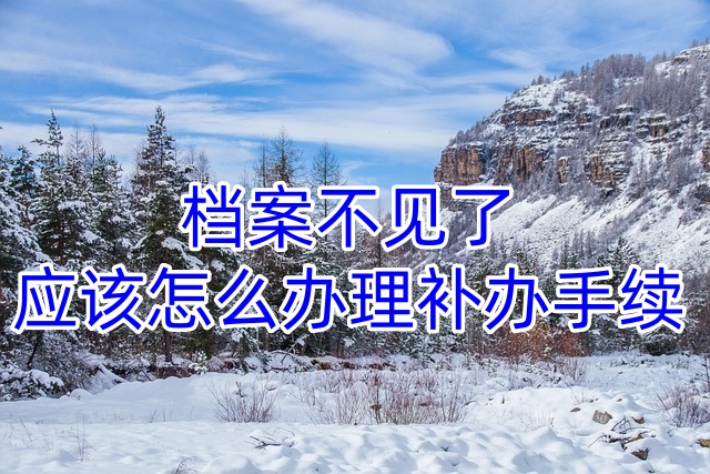 档案不见了应该怎么办理补办手续