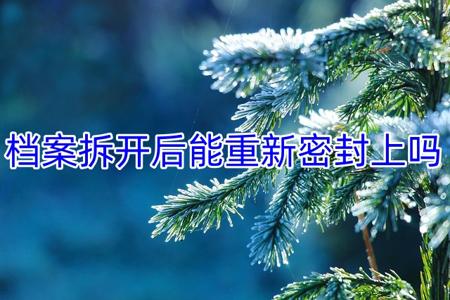 档案拆开后能重新密封上吗