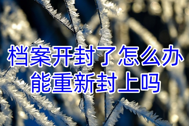 档案开封了怎么办，能重新封上吗