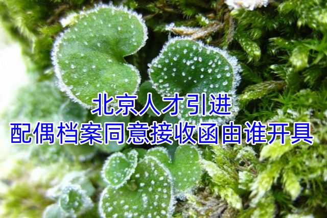 北京人才引进配偶档案同意接收函由谁开具